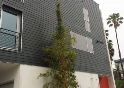 Gallery_6